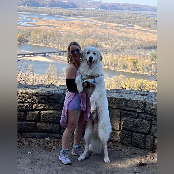 Welcome to our Posh!! - Picture 3 of 17